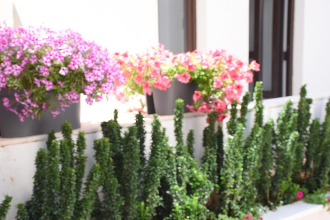 Apartments Petar Budva Luaran gambar